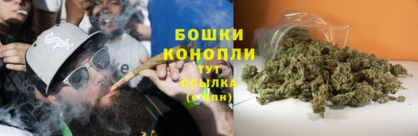 apvp Богородск